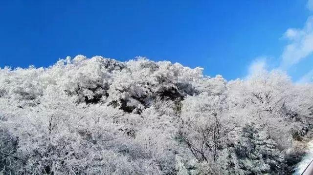 警察战僵尸无敌版