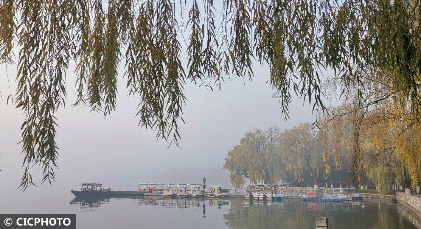 小艾比当海军