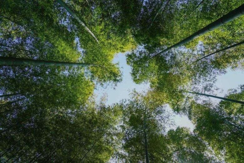 深夜开车赶路的心情语句(英文)游戏画面