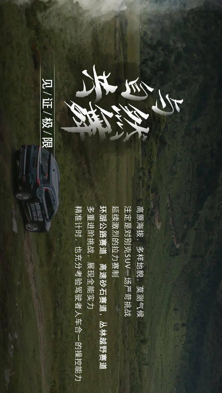 点击收藏!独家2024年北美档必刷片单41部,影迷必备!