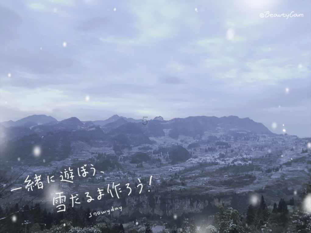 解救金刚鹦鹉