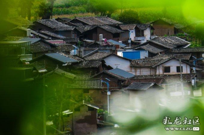 虫虫助手下载