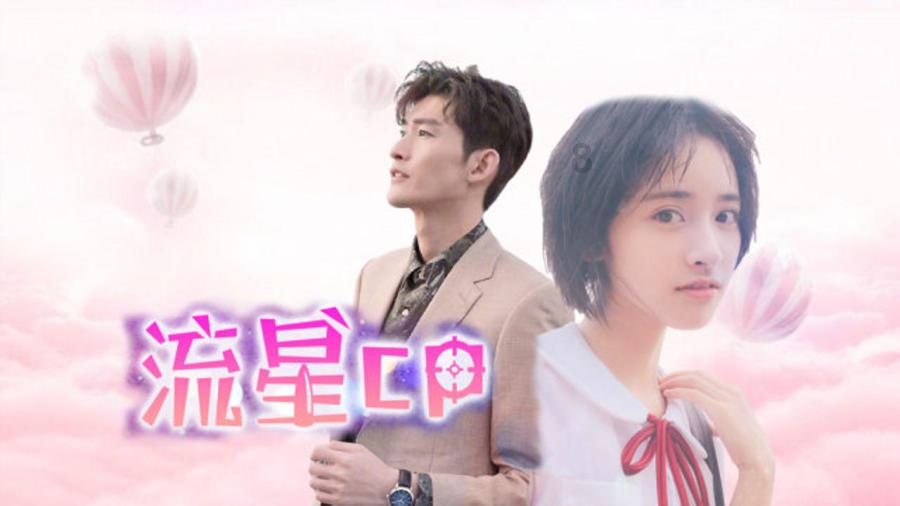狗狗物品记忆卡