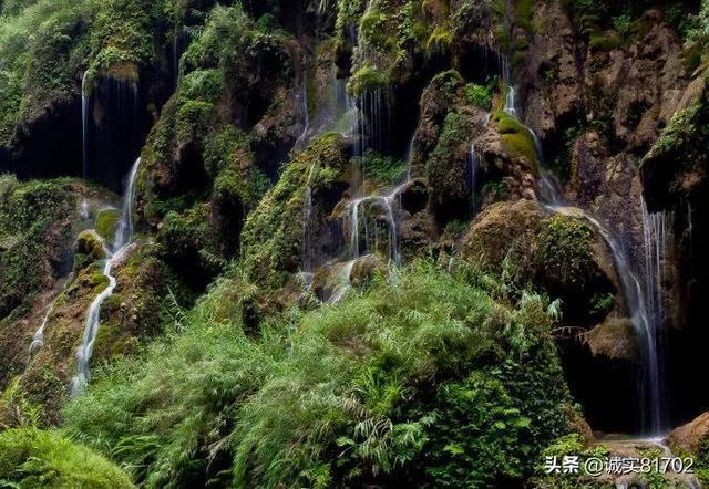 植物大战僵尸11