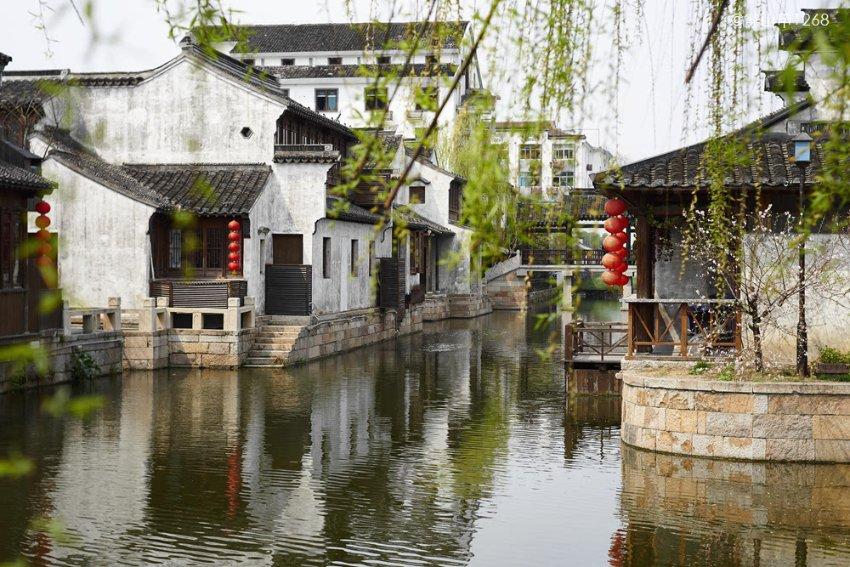 什么菜才是真正的米饭杀手?网友吉克隽逸:青椒土豆丝,你呢?