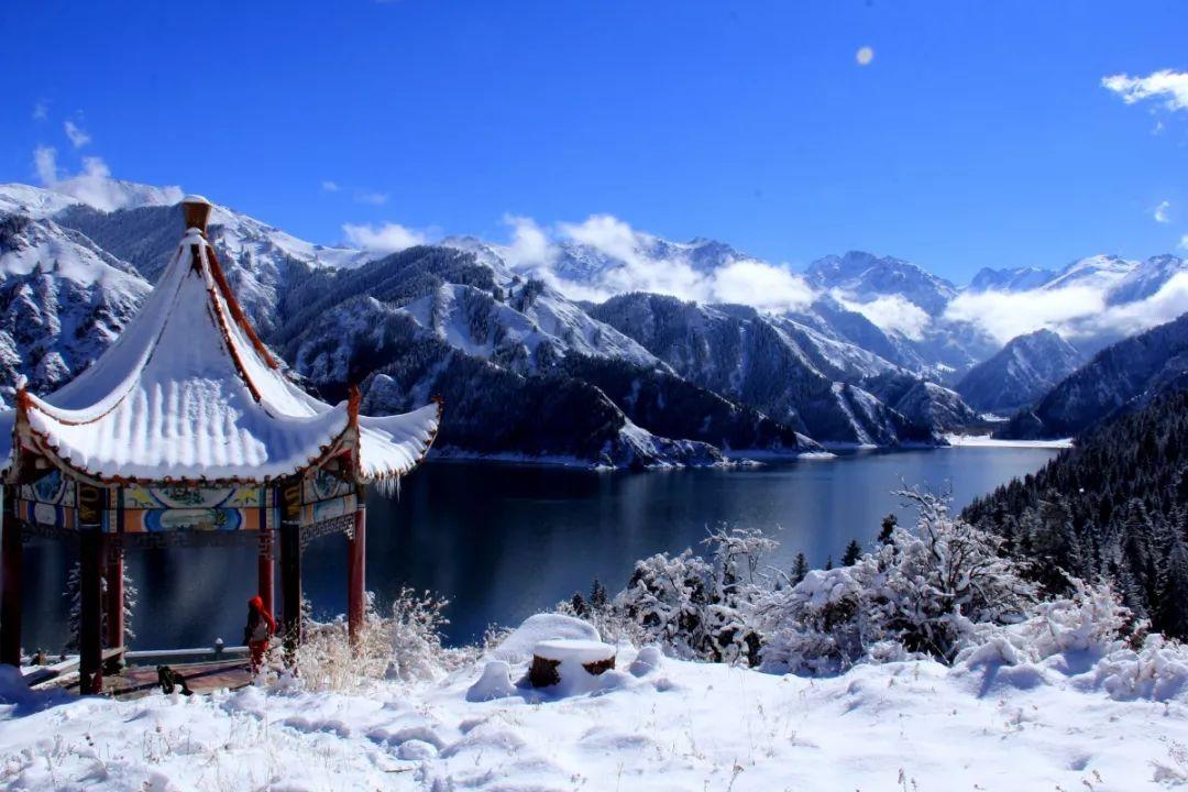 天天三国